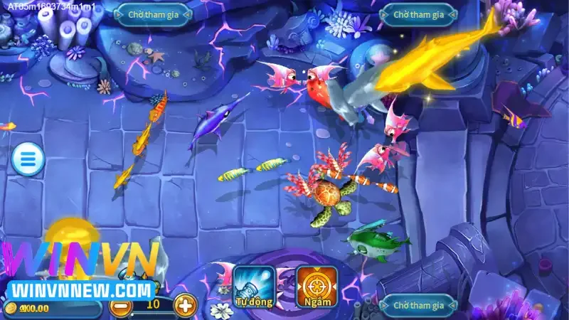 Cá rồng - Boss khủng giá trị