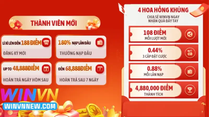Đôi nét cơ bản về chương trình đại lý WINVN