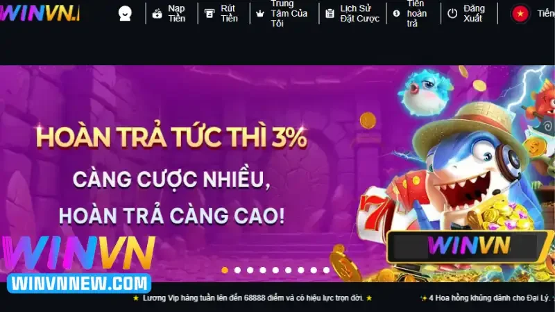 Giới thiệu sơ lược về khuyến mãi WINVN