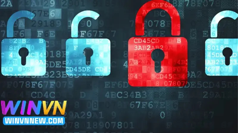 Cam kết từ hệ thống về bảo vệ sự riêng tư