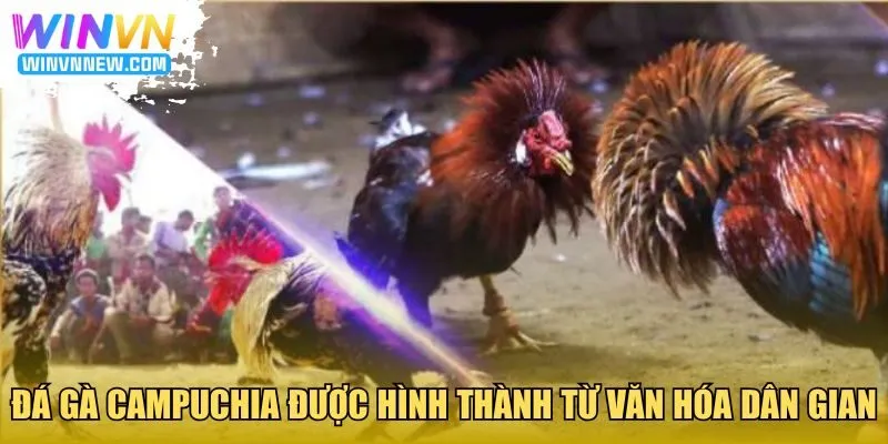 Đá gà Campuchia được hình thành với văn hóa dân gian từ Campuchia