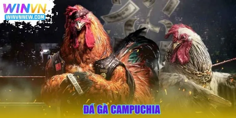đá gà Campuchia