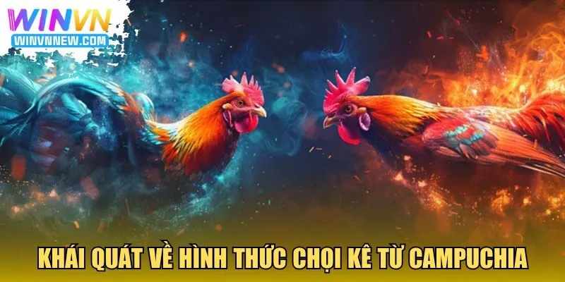 Khái quát về hình thức chọi kê từ Campuchia